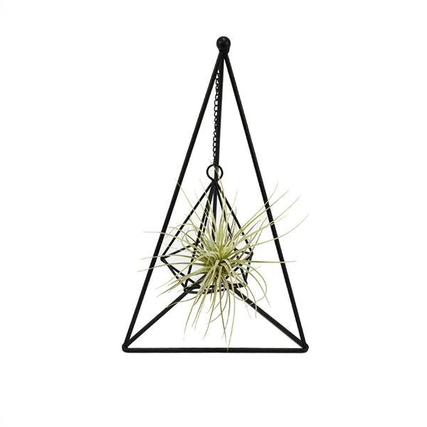 Triangle Metal Plant Holder