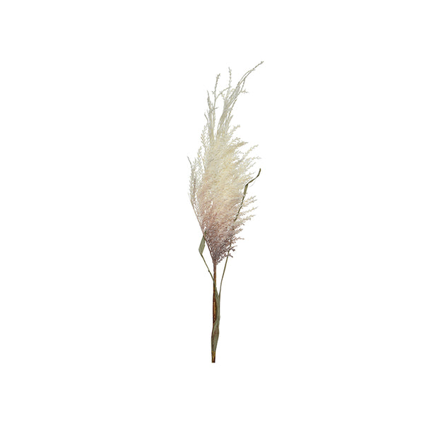 Wide Faux Pampas Plume